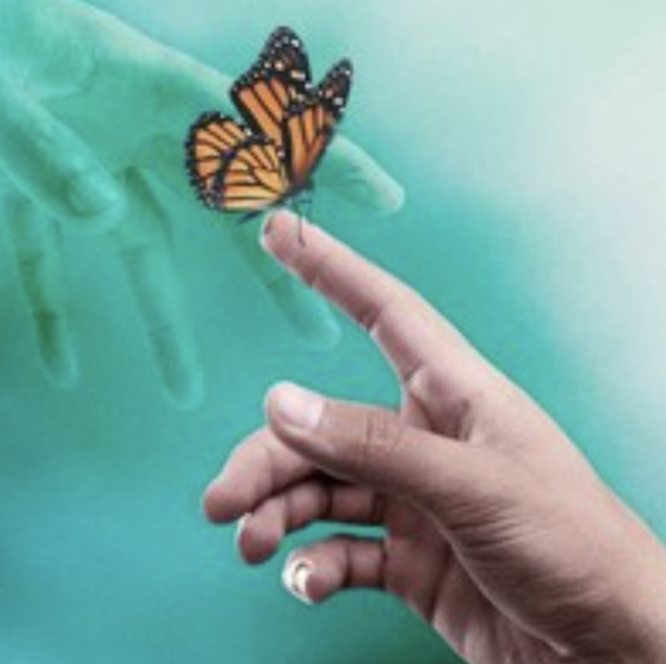 #L134: Surviving death series